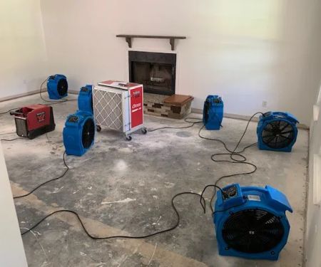 Fremont Water Restoration