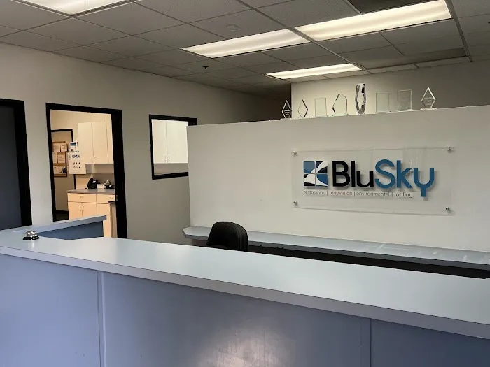 BluSky Restoration Contractors Picture 2
