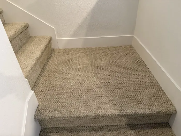 Stanley Steemer Picture 5