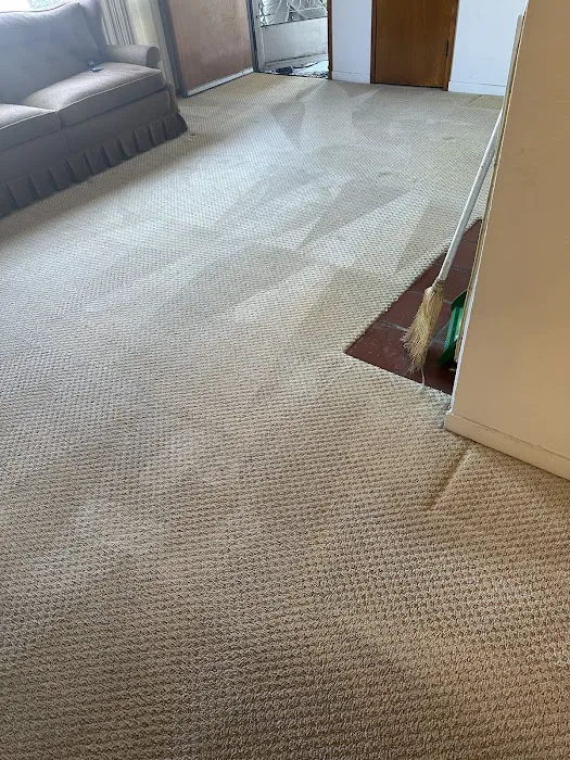 Stanley Steemer Picture 1