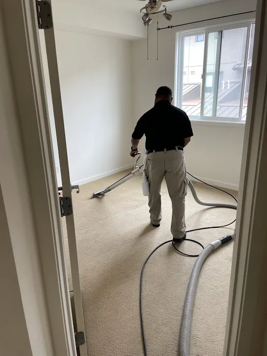 Stanley Steemer Picture 6