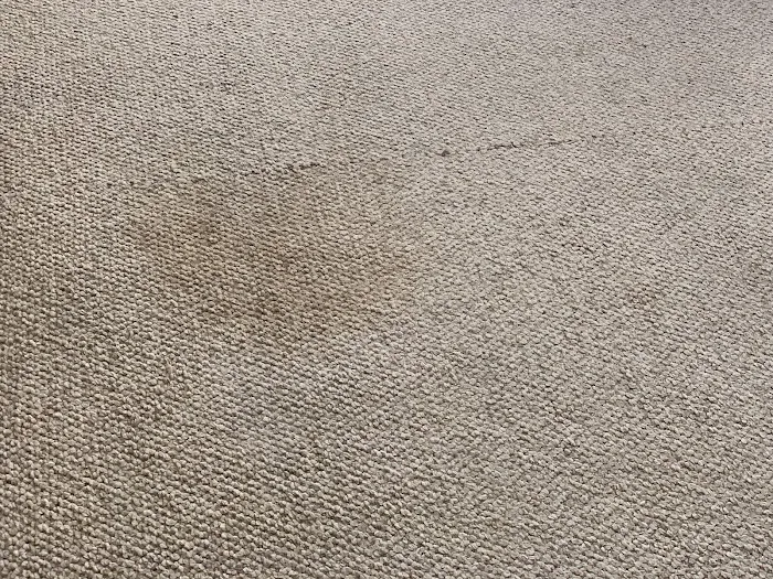 Stanley Steemer Picture 10