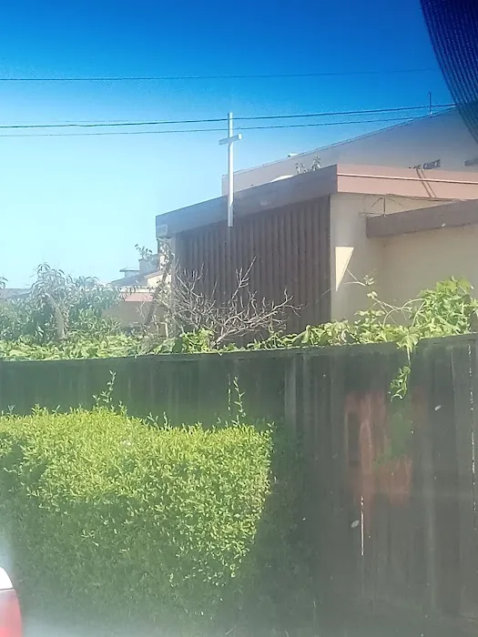 Clean & Honest Restoration Picture 1