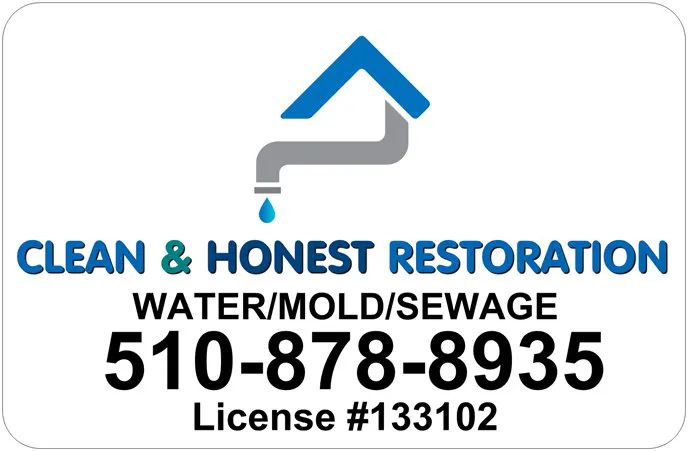 Clean & Honest Restoration Picture 4