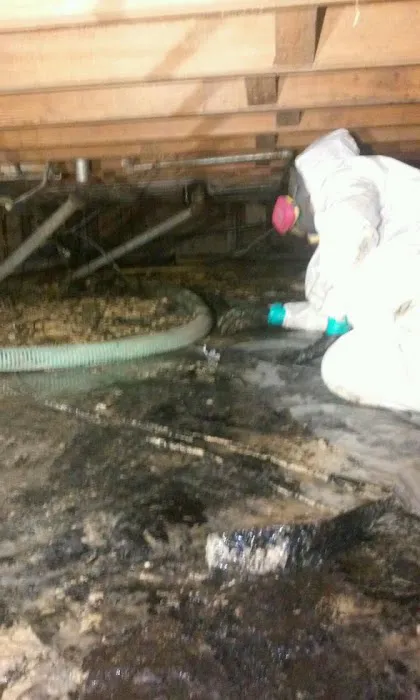 Clean & Honest Restoration Picture 5