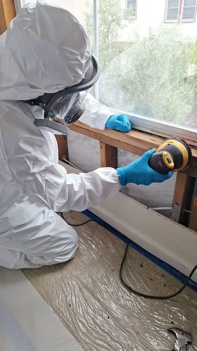 Fire & Water Damage Recovery Picture 3