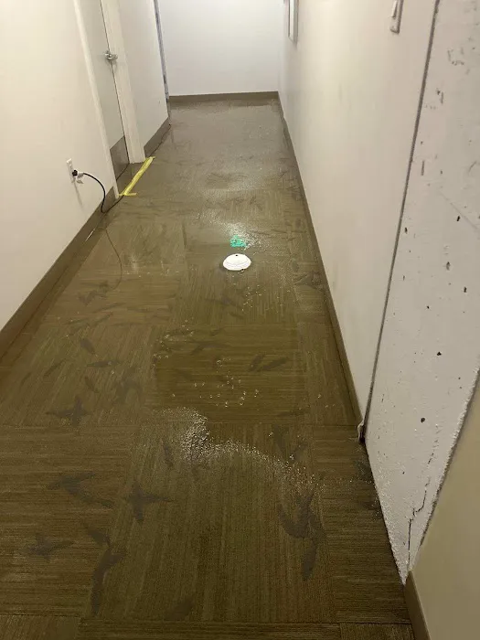 Raging Waters Restoration Services Inc. Picture 1