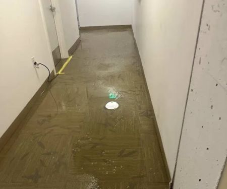 Raging Waters Restoration Services Inc.