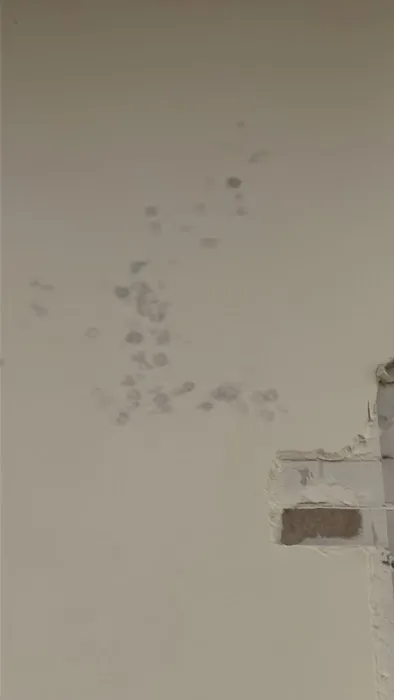 Raging Waters Restoration Services Inc. Picture 4