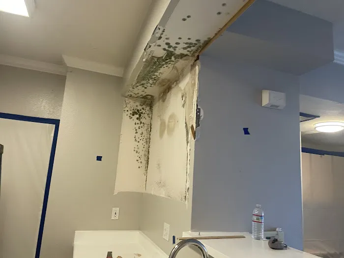 MG Remediation Picture 2