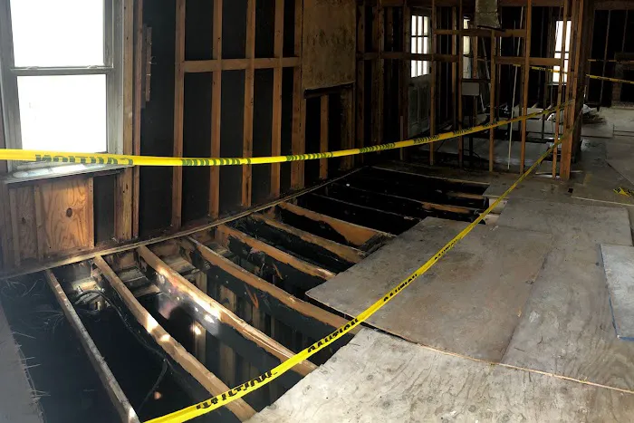 Blue Rescue Restoration Picture 2