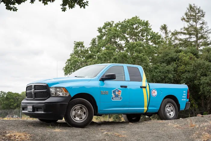 Blue Rescue Restoration Picture 4