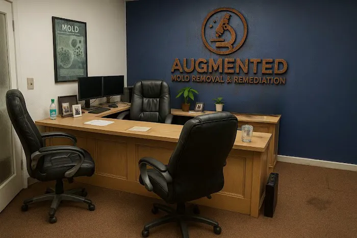 Augmented Mold Removal & Remediation Union City CA Picture 2