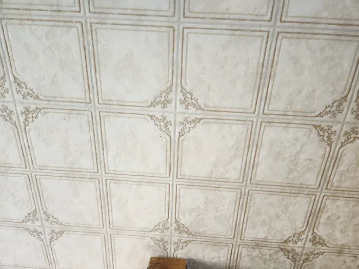 Lewis Carpet Cleaners Picture 5