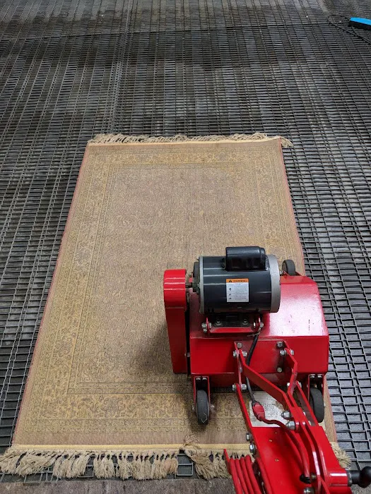 Lewis Carpet Cleaners Picture 6