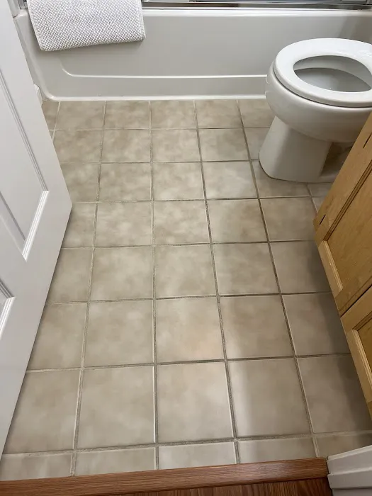 Lewis Carpet Cleaners Picture 7