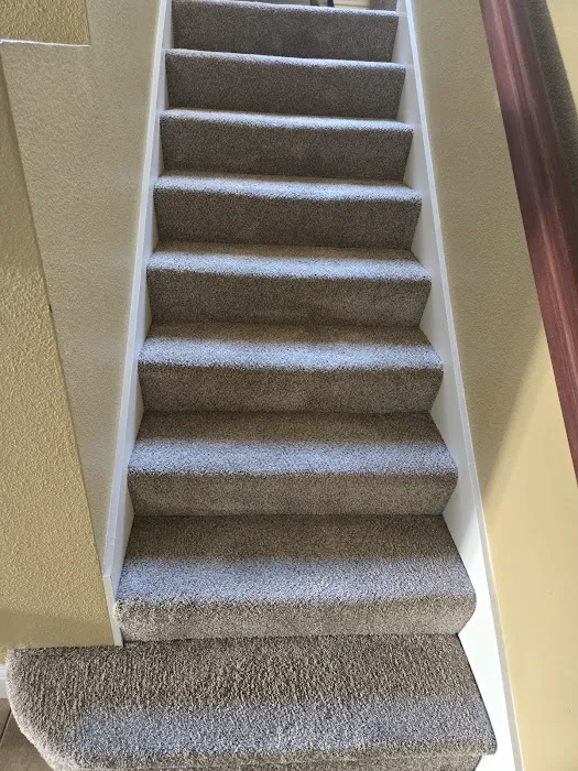 Lewis Carpet Cleaners Picture 8