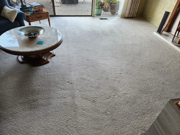 Lewis Carpet Cleaners Picture 9