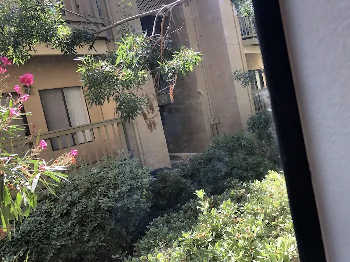 Lewis Carpet Cleaners Picture 10