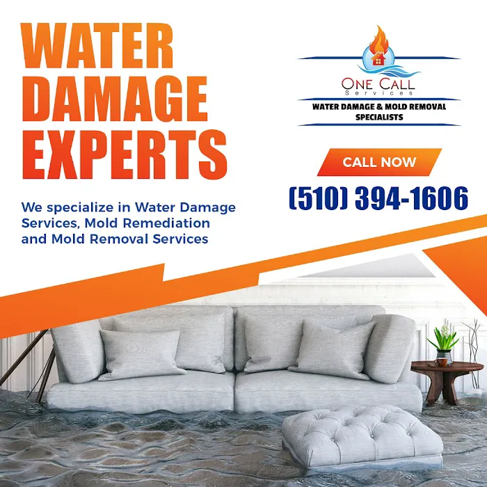 One Call Services Picture 6