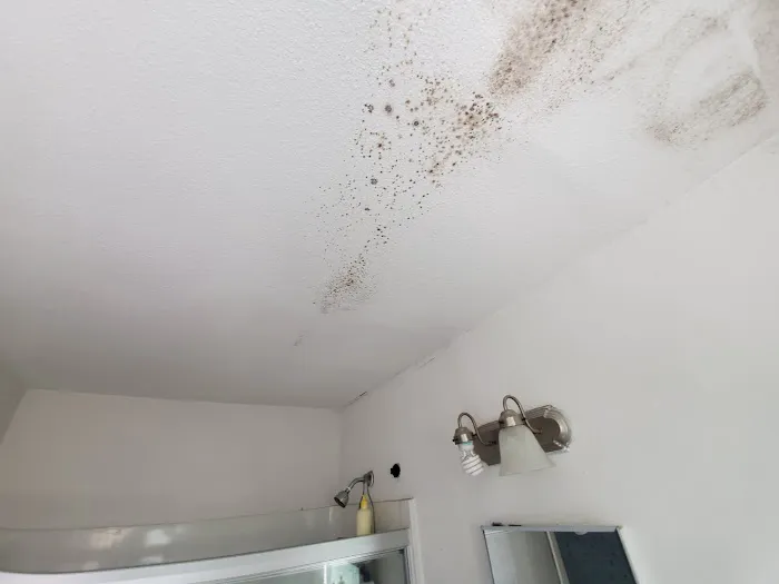 One Call Services Picture 4