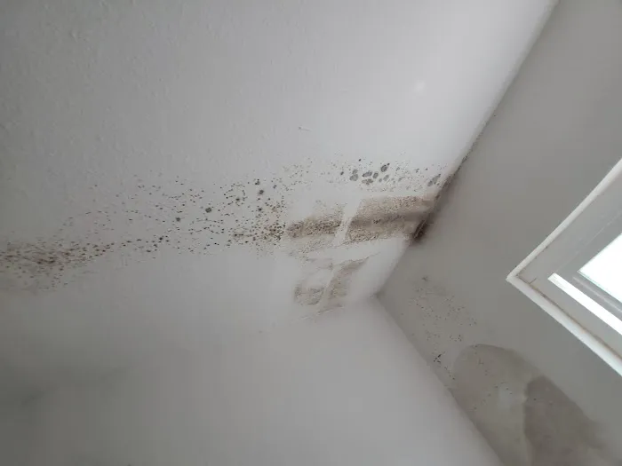 One Call Services Picture 5