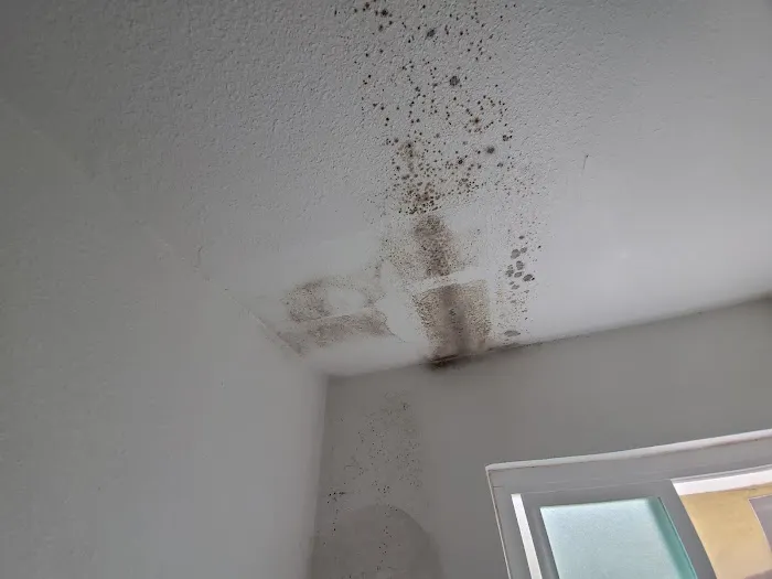 One Call Services Picture 8