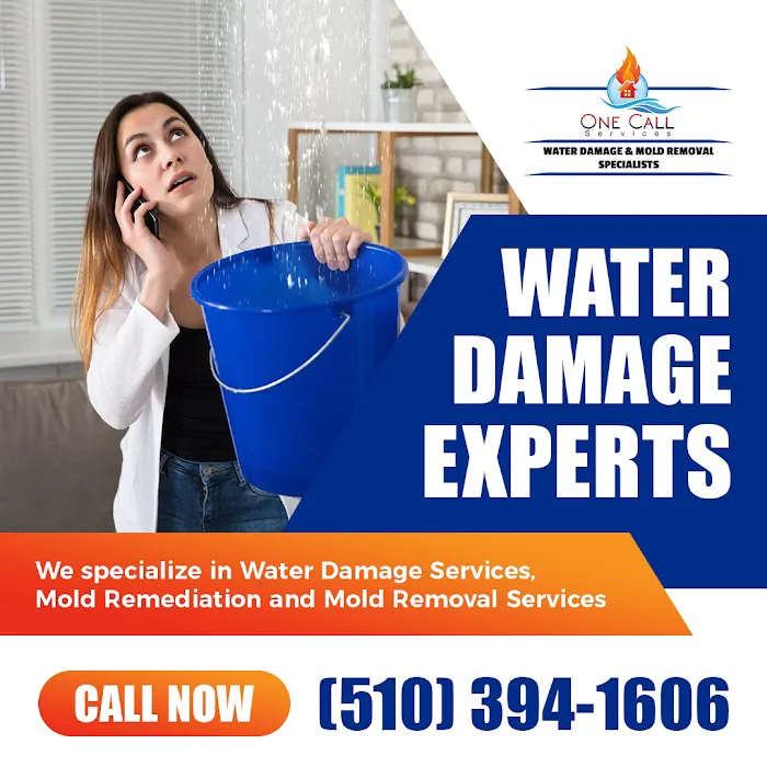 One Call Services Picture 7