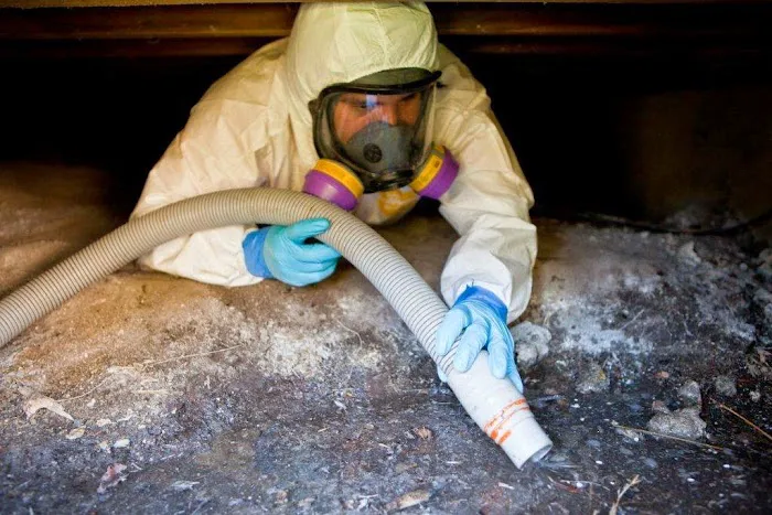 Clearway Restoration Picture 1