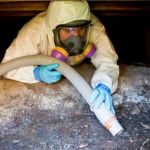 Clearway Restoration