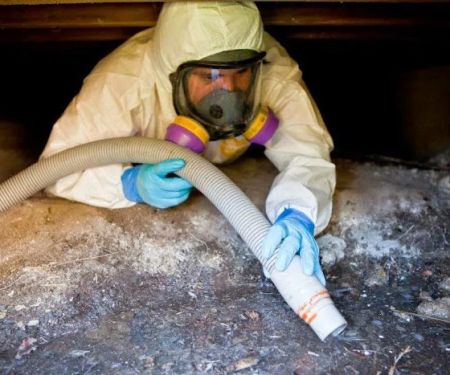 Clearway Restoration