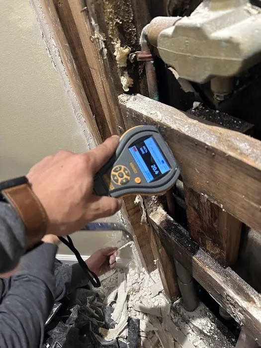 US Creative Restoration Picture 4