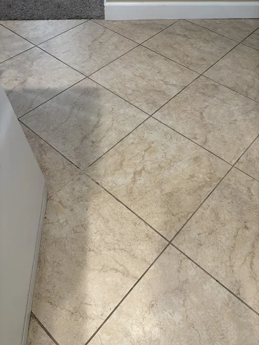 Stanley Steemer Picture 10