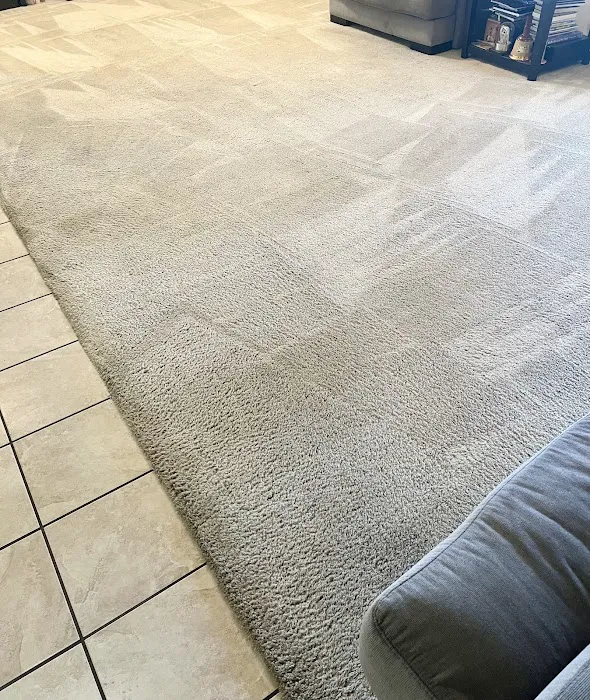 Stanley Steemer Picture 2