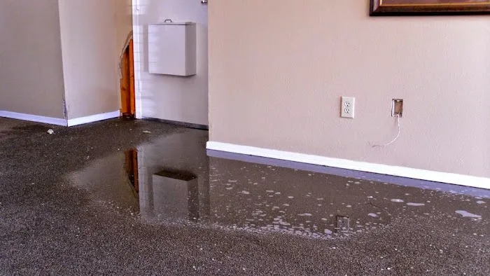 One Call Services Picture 6