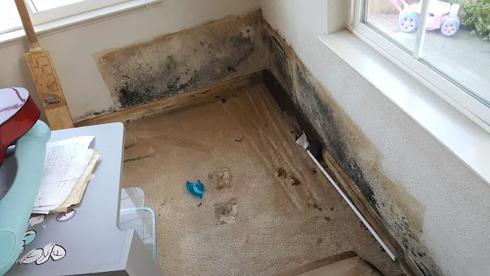 One Call Services Picture 10