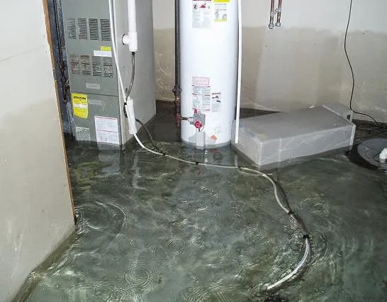 One Call Services Picture 3