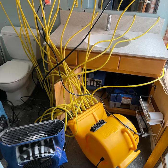 Water Damage Solution Picture 8