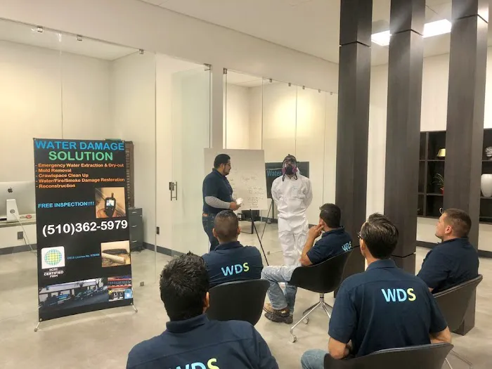 Water Damage Solution Picture 4