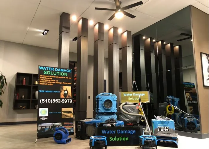 Water Damage Solution Picture 5