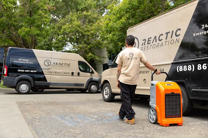 Reactic Restoration Picture 2