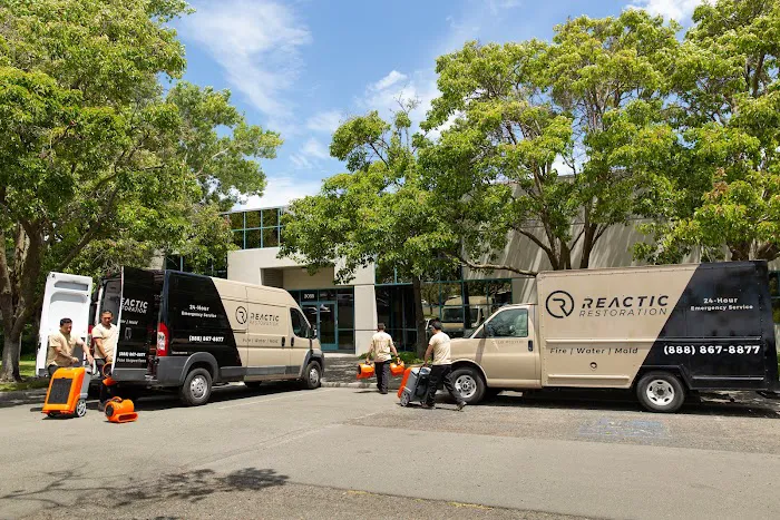 Reactic Restoration Picture 5