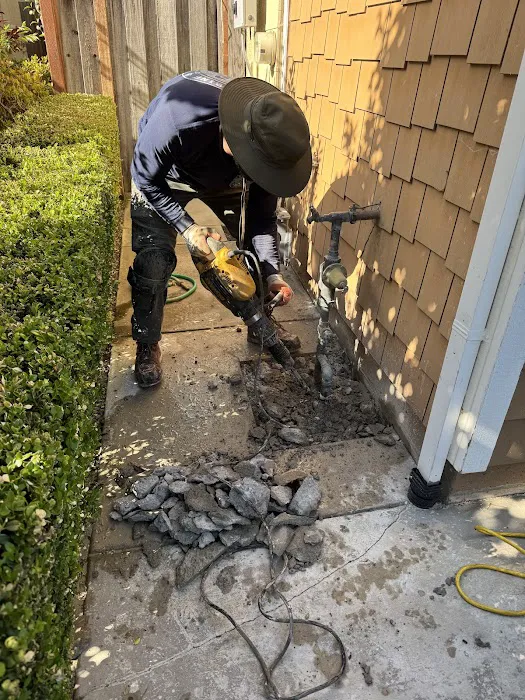 Water Shield Leak Detection Picture 5