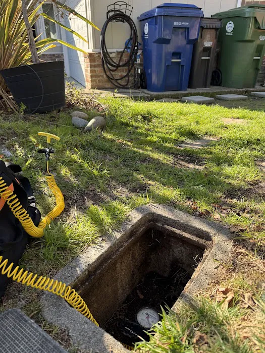 Water Shield Leak Detection Picture 4