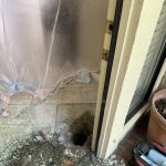 Water Shield Leak Detection