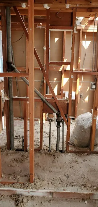 Bordi Restoration Picture 5