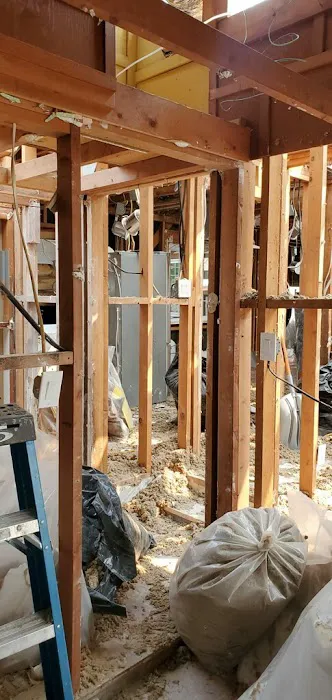 Bordi Restoration Picture 3