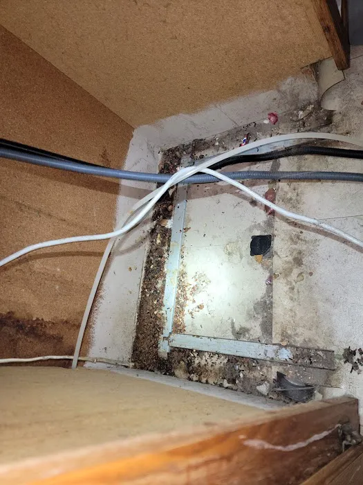 Attic Pros Picture 8