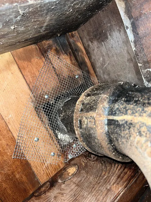 Attic Pros Picture 5