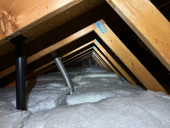 Attic Pros Picture 1